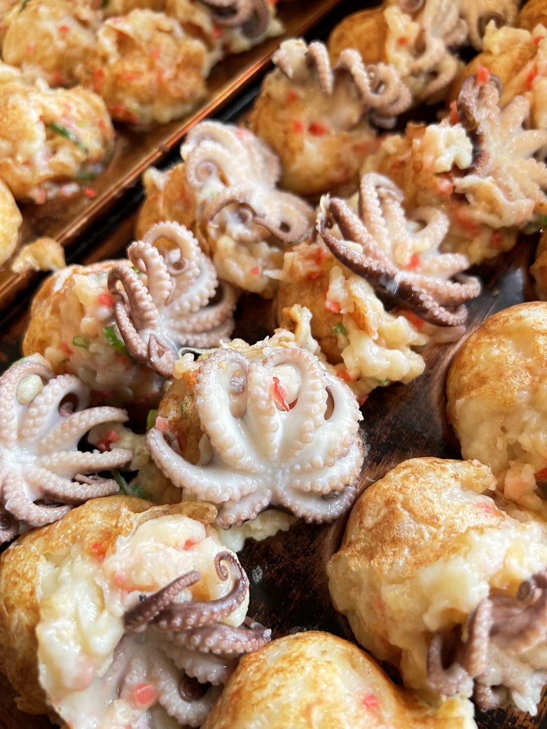 コンセプト用の画像